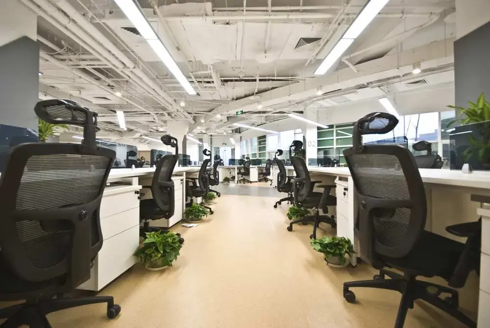 Modern open office with desks, task chairs and indoor plants